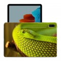 Дизайнерский силиконовый чехол для Samsung Galaxy Tab S7 Змеи