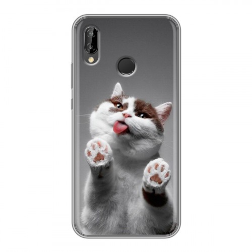 Дизайнерский силиконовый чехол для Huawei P20 Lite Коты