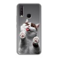 Дизайнерский силиконовый чехол для Vivo Y17 Коты