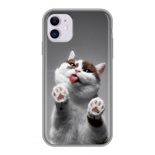 Дизайнерский силиконовый чехол для Iphone 11 Коты