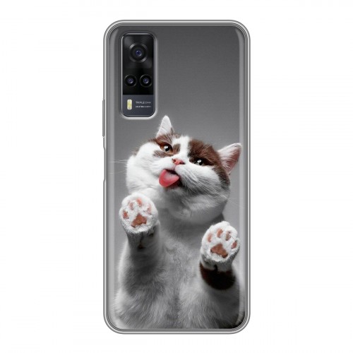 Дизайнерский силиконовый чехол для Vivo Y31 Коты