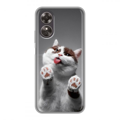 Дизайнерский пластиковый чехол для OPPO A17 Коты