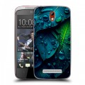 Дизайнерский пластиковый чехол для HTC Desire 500 Листья
