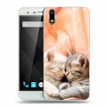 Дизайнерский пластиковый чехол для Ulefone Paris Котята