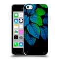 Дизайнерский пластиковый чехол для Iphone 5c Листья и роса