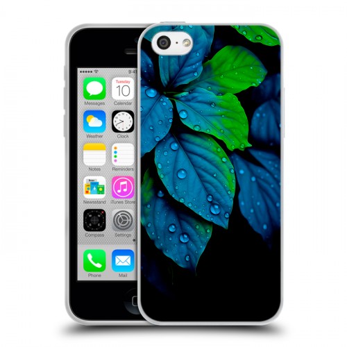 Дизайнерский пластиковый чехол для Iphone 5c Листья и роса