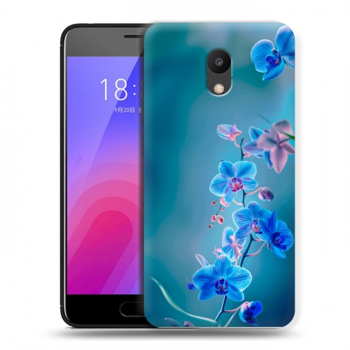 Дизайнерский пластиковый чехол для Meizu M6 Голубые цветы