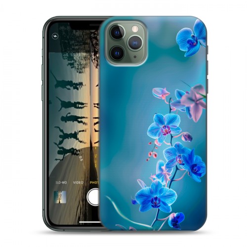 Дизайнерский силиконовый чехол для Iphone 11 Pro Голубые цветы