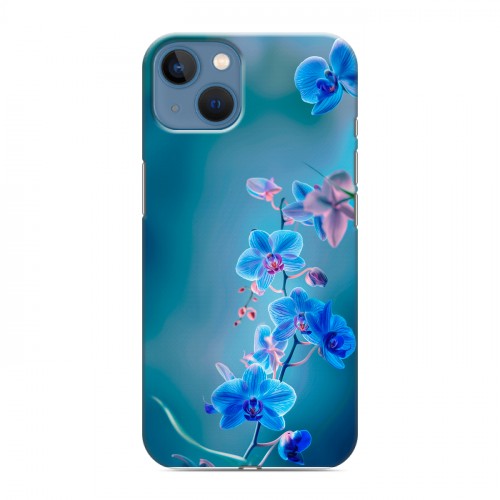 Дизайнерский силиконовый чехол для Iphone 13 Голубые цветы