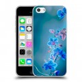 Дизайнерский пластиковый чехол для Iphone 5c Голубые цветы