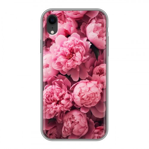 Полупрозрачный дизайнерский пластиковый чехол для Iphone Xr цветы пионы
