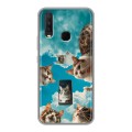 Полупрозрачный дизайнерский силиконовый чехол для Vivo Y17 котики