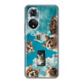 Полупрозрачный дизайнерский силиконовый чехол для Huawei Honor 50 котики