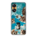 Полупрозрачный дизайнерский пластиковый чехол для OPPO Reno8 T котики
