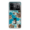 Полупрозрачный дизайнерский пластиковый чехол для Realme GT3 котики