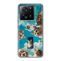 Полупрозрачный дизайнерский пластиковый чехол для Xiaomi 13T котики