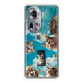Полупрозрачный дизайнерский пластиковый чехол для OPPO Reno 11 котики