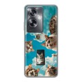 Полупрозрачный дизайнерский пластиковый чехол для OnePlus Nord N30 SE 5G котики