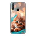 Полупрозрачный дизайнерский силиконовый чехол для Vivo Y17 котик