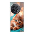 Полупрозрачный дизайнерский пластиковый чехол для OnePlus 12 котик