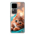 Полупрозрачный дизайнерский пластиковый чехол для Vivo V30 5G котик