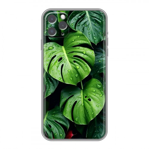 Дизайнерский силиконовый чехол для Iphone 11 Pro Листья