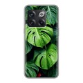 Дизайнерский силиконовый чехол для OnePlus 10T Листья