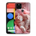 Дизайнерский пластиковый чехол для Google Pixel 5 котята котики