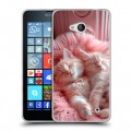 Дизайнерский пластиковый чехол для Microsoft Lumia 640 котята котики