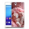 Дизайнерский пластиковый чехол для Sony Xperia C4 котята котики