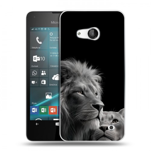 Дизайнерский пластиковый чехол для Microsoft Lumia 550 Лев кошки