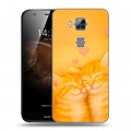 Дизайнерский пластиковый чехол для Huawei G8 Милые котята