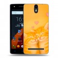 Дизайнерский силиконовый чехол для Wileyfox Storm Милые котята
