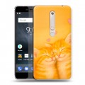 Дизайнерский пластиковый чехол для Nokia 6 (2018) Милые котята