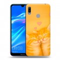 Дизайнерский пластиковый чехол для Huawei Y6 (2019) Милые котята