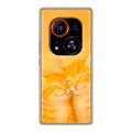 Дизайнерский силиконовый чехол для Tecno Phantom X2 Pro Милые котята
