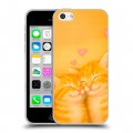 Дизайнерский пластиковый чехол для Iphone 5c Милые котята