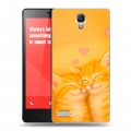 Дизайнерский пластиковый чехол для Xiaomi RedMi Note Милые котята