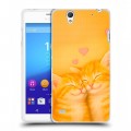 Дизайнерский пластиковый чехол для Sony Xperia C4 Милые котята
