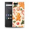 Дизайнерский пластиковый чехол для BlackBerry KEY2 Новый год
