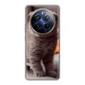 Дизайнерский силиконовый чехол для Realme 12 Plus 5G Котята