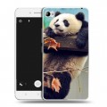 Дизайнерский пластиковый чехол для Lenovo S90 Панды