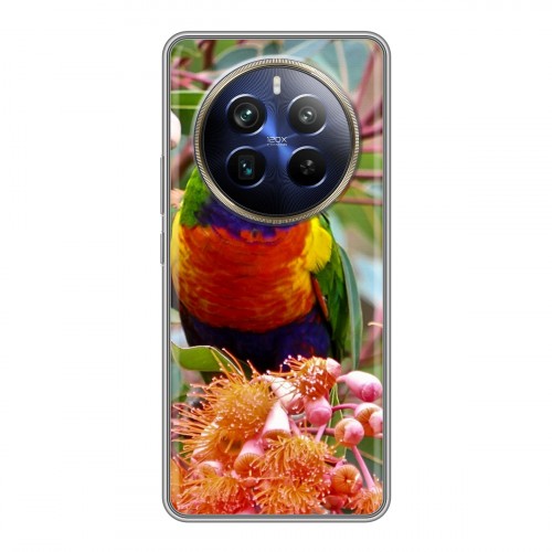 Дизайнерский силиконовый чехол для Realme 12 Plus 5G Попугаи