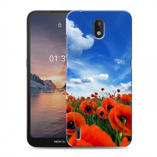 Дизайнерский силиконовый чехол для Nokia 1.3 Мак