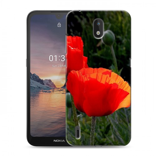 Дизайнерский силиконовый чехол для Nokia 1.3 Мак