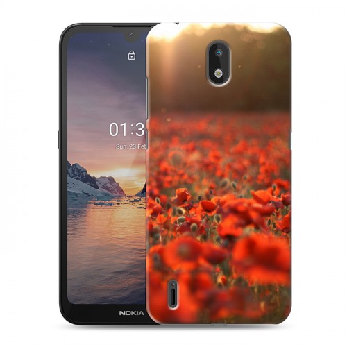 Дизайнерский силиконовый чехол для Nokia 1.3 Мак