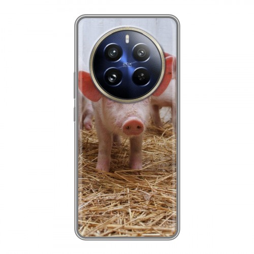 Дизайнерский пластиковый чехол для Realme 12 Pro Свинки
