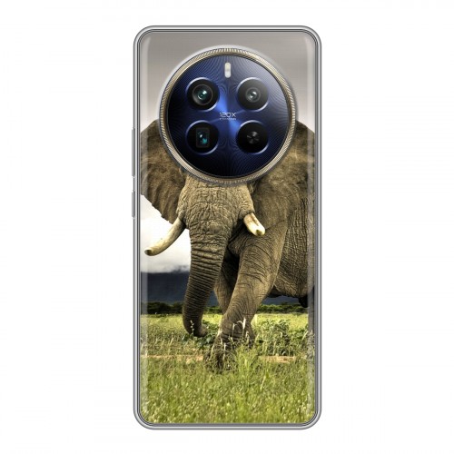 Дизайнерский силиконовый чехол для Realme 12 Plus 5G Слоны