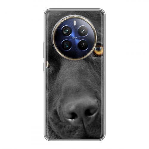 Дизайнерский силиконовый чехол для Realme 12 Plus 5G Собаки