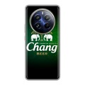 Дизайнерский пластиковый чехол для Realme 12 Pro Chang